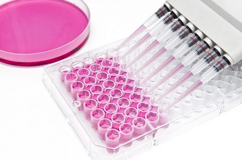VIrus Test