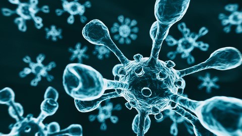 COVID -19 virus